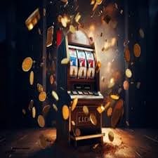 win66